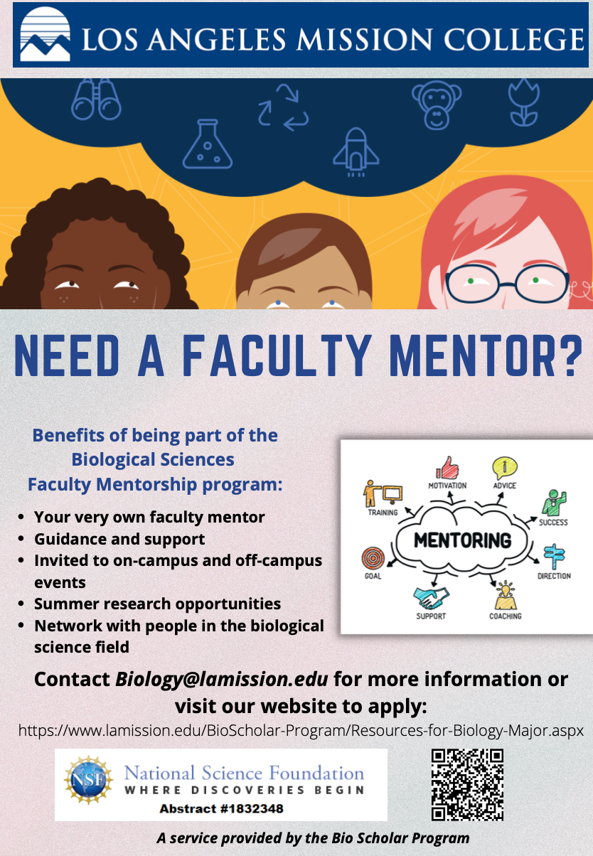 Flyer About the Faculty Mentors