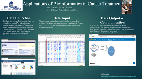 Bioinformatics in Cancer Treatment Info Chart