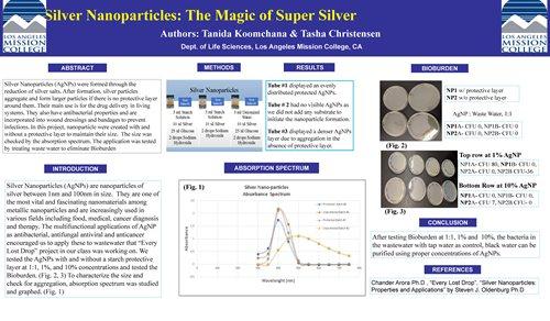 Final Presentation Super Silver Template