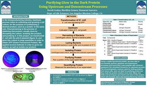 Purifying GFP Final Project Chart Info