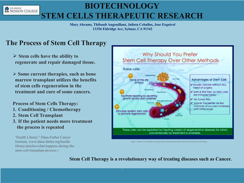 STEM Cell Therapeutic Research Chart Info
