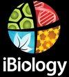 iBiology Logo